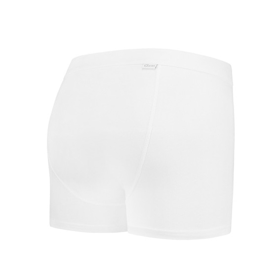 adam-underwear-okke-back_524x699-ID23762-2306a63bd5548f27ac49b5f6be034abd