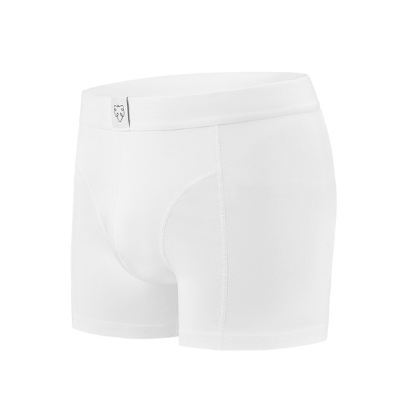 adam-underwear-okke-side_524x699-ID23764-c145e89990ad40b1d0b0f7a27a626b30